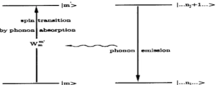 Figure 2. Spin exitation by absorption of a phonon in a