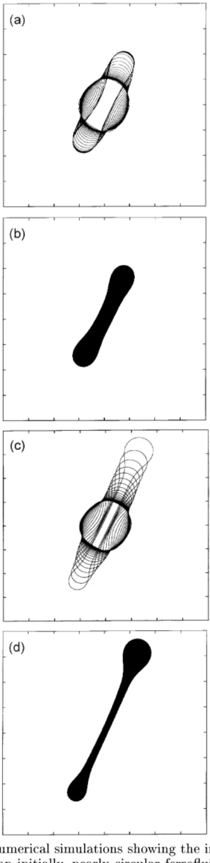 Figure 3. Numerial simulations showing the interfaial in-