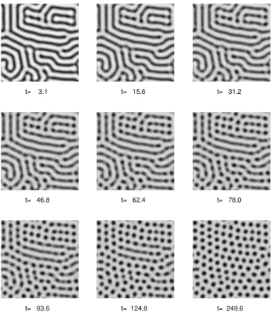 Figure 4. Transformation of the stripe struture to the hexagonal pattern ( Bm Bm = 0:78; hl = 10; 0 = 0:2)