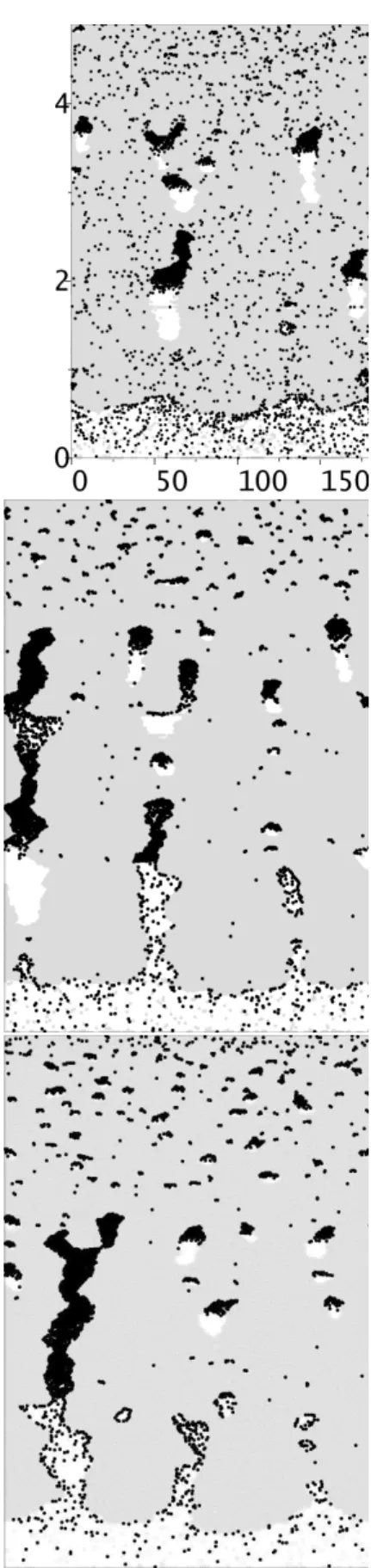 Figure 3. Final onguration of the simulated rystal after