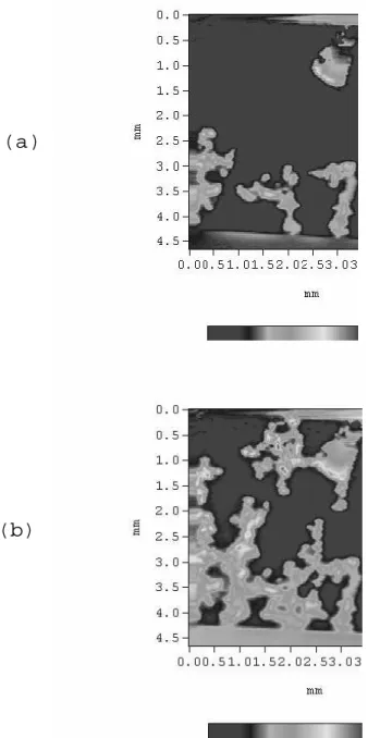 Figure 11. SSM images of a small setion of the sample af-