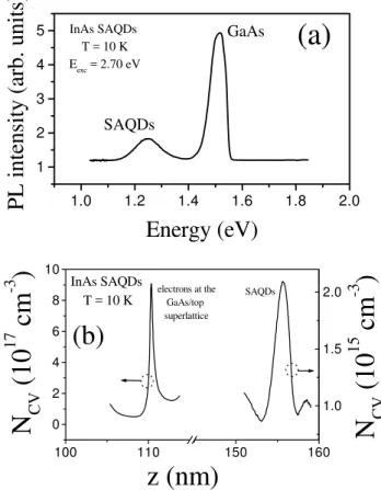 Fig. 1) and in the wetting layer. In fat, we observed