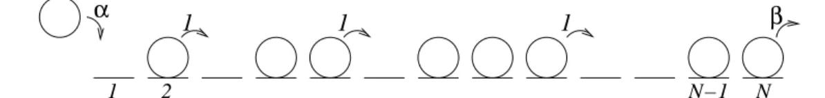 Figure 2. The dynamics defining the ASEP. The lattice is open and particles may be inserted or extracted at the boundaries as shown.