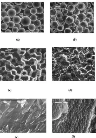 Figure 1. SEM photographs of GC prepared at 5.0 GPa, showing the particle shape evolution at (a) room temperature, (b) 600 ◦ C, (c) 1200 ◦ C, (d) 1400 ◦ C, and the crystalline morphology and size at (e) 1200 ◦ C, (f) 1400 ◦ C.