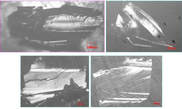 Figure 1. Metallographical and SEM microscopy images: (a) C1-1, single crystal from C1 batch