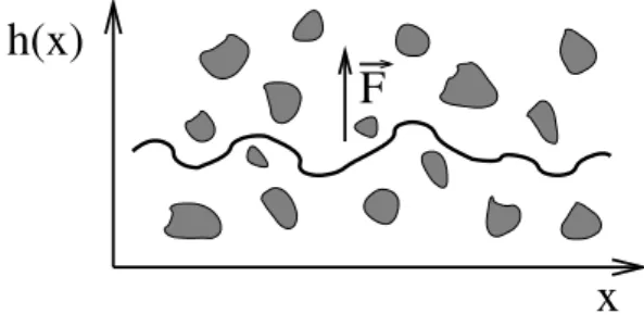 Figure 4. Schematic representation of a driven interface in a disor- disor-dered media.