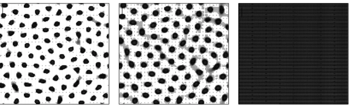 Figure 2. Spatial distribution of the population for the case of a logistic crowding function