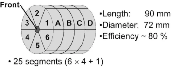 Figure 1. Schematic view of the 6x4+1 segmented HPGe MARS prototype detector.