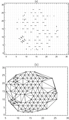 Figure 4. An output example from the GPA of frame 15. (a) The asymmetric gradient field for the amplitude and phase fluctuations taken on the middle cross section of the 3D system