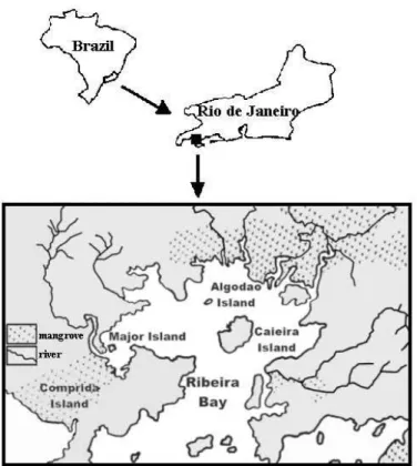 Figure 1. Map of the Ribeira Bay, Rio de Janeiro.
