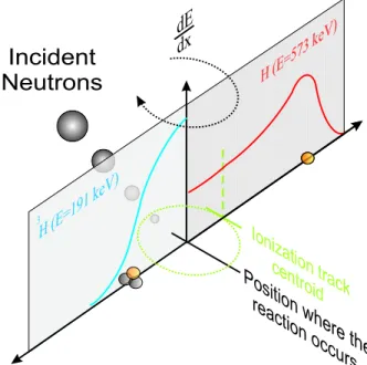 Figure 1. Specific energy loss along a proton track (right) and a tritium (left).