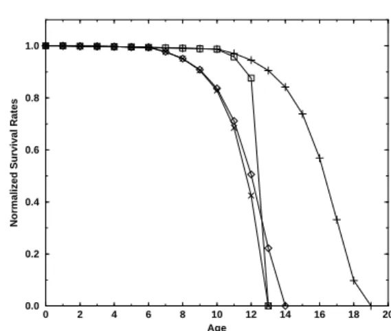Figure 1. Normalized survival rates as a function of age. Each curve corresponds to a given period of reproduction: x from 6 to 12; squares from 10 to 12; diamonds from 6 to 32 and crosses from 10 to 32.