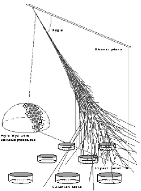 Figure 2. The water ˇ Cerenkov tank.