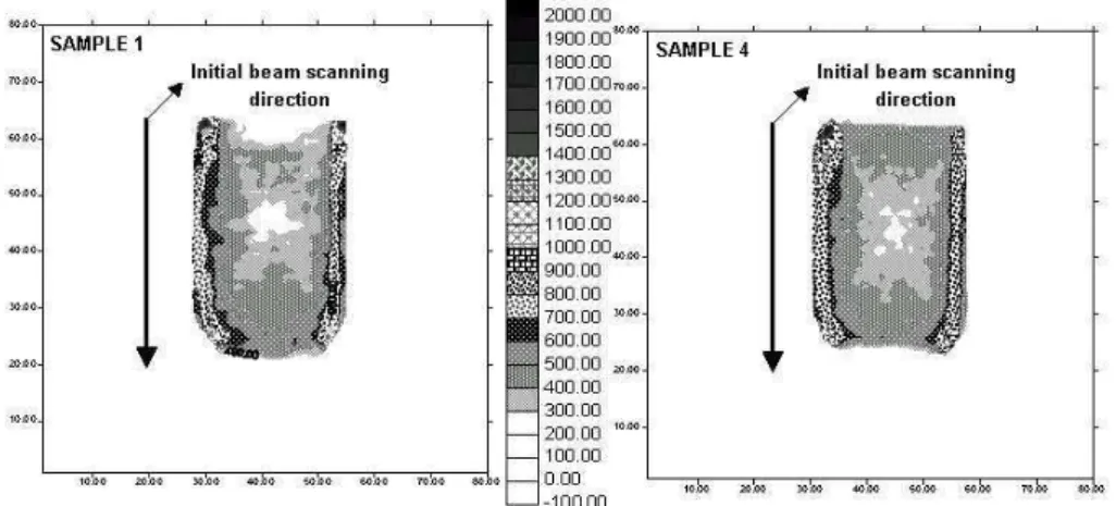 Figure 1. Tomographic images of soil samples obtained through the software “Microvis” developed by EMBRAPA/CNPDIA.