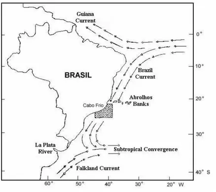 Figure 1. The South Atlantic ocean water mass currents in the Brazilian coast (From Ref