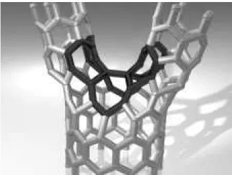 Figure 1. The 6 heptagon topological defect of the Y-junction.