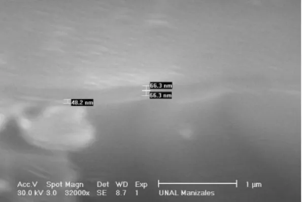 Figure 4. SEM micrograph employed to measure the thickness of the films.