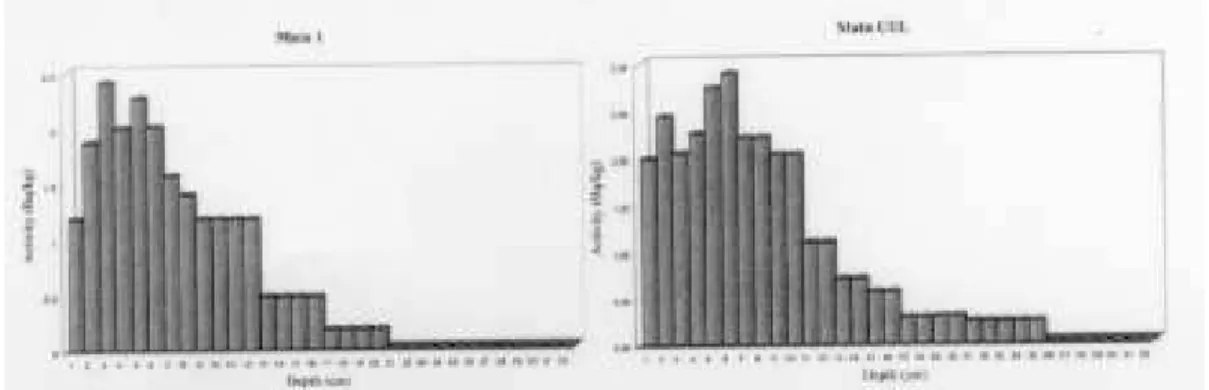 Figure 1. Depth distribution of cesium-137 for Mata 1 and Mata UEL.