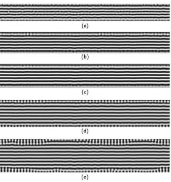 Figure 3. For all patterns, σ = 0 . 01 and P = 0 . 01 . (a) t = 500 , (b) t = 1000 , (c) t = 1500 , (d) t = 2000 , (e) t = 2500 .