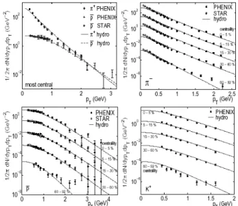 Figure 7. Hydrodynamical calculation for particle spectra and comparison with RHIC data