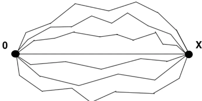 Figure 1. Schematic representation of the quark correlator with ar- ar-bitrary paths between the quarks, which are in the positions 0 and x.