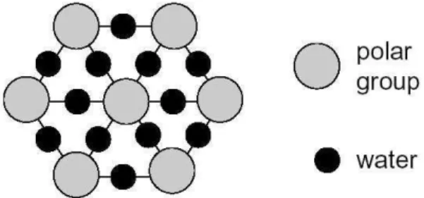Figure 6. Bidimensional arrangement of the hydrophilic part at the monolayer/water interface