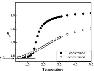 Figure 10. The radius of gyration R G as a function of k B T . For the constrained system, at low temperatures corresponding to k B T 