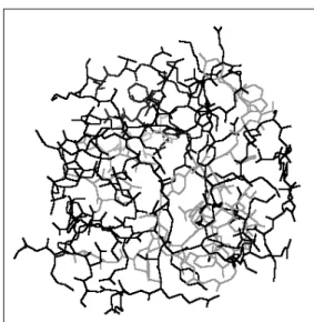 Figure 21. The plot of < E proteins > vs. < E sc >. The correla- correla-tion coefficient is equal to 0.97.