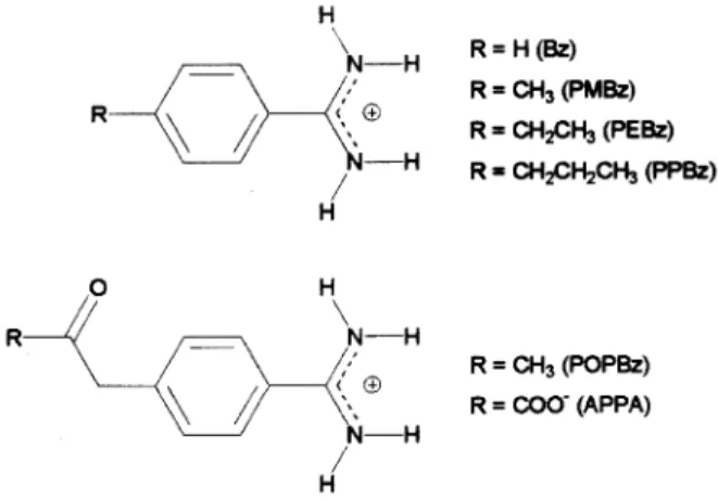 Figure 1. Benzamidine derivatives studied.