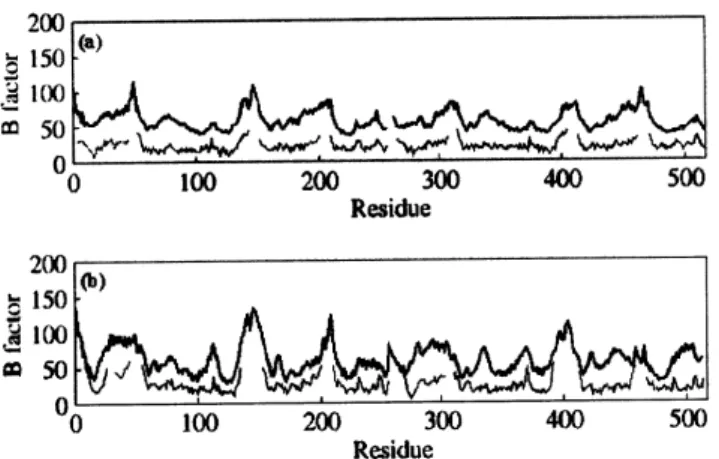 Figure 6. Comparison of B -factors on a per residue basis from atom-positional root-mean-square fluctuations of C α atoms