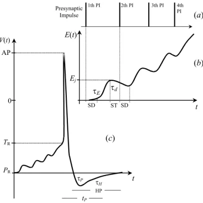 FIG. 2: (a) Schematic representation of a sequence of four presynaptic impulses (PIs) in the jth synapse, (b) the increase of the excitatory synaptic effect, E(t), after each PI