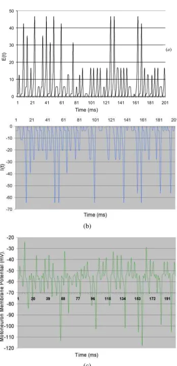 FIG. 4: Addition of (a) depolarizing and (b) hyperpolazing synaptic effects (Eqs. 2 and 3) on MN for inputs coming from elements S, IN and SS