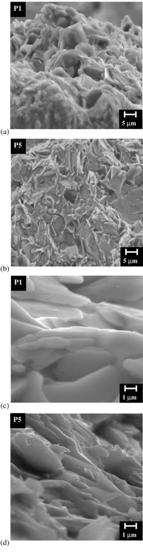 FIG. 3: Micrographs of the free surfaces (III and III), and fractured samples (III and III) P1 and P5, respectively, which were subjected to different uniaxial compacting pressures, as displayed in Table I.