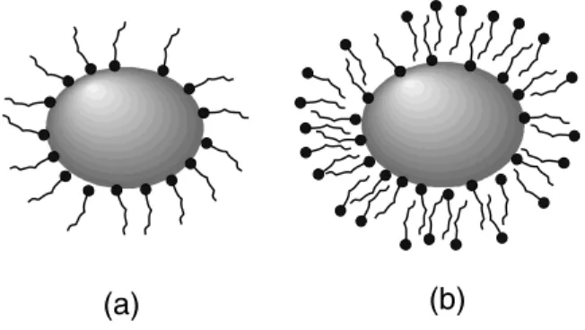 FIG. 1: Sketch of surfacted ferrofluid grains: a) single-layered grains; b) double-layered grains.