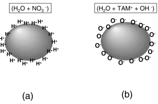 FIG. 2: Sketch of ionic ferrofluid grains. The counterions and the wa- wa-ter molecules are also indicated: a) acid ferrofluid grain; b) alkaline ferrofluid grain, TAM + OH − is the tetramethylammonium hydroxide.