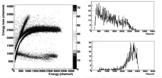 FIG. 2: Shows biparametric spectra with carbon and oxygen contribution on surface and the projection on the Energy axis.
