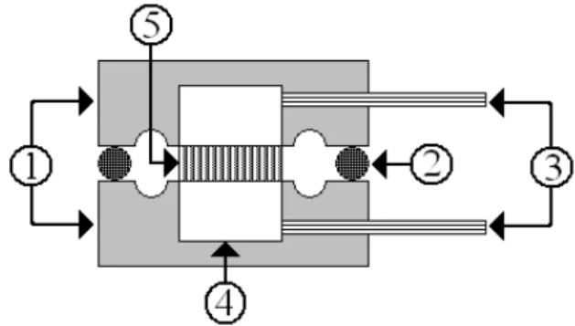 FIG. 1: The scheme of complex electrode: 1 – housing; 2 - plas- plastic spacer; 3  electrical contact with the measuring equipment; 4  -contact elements; 5 – film of polyaniline.