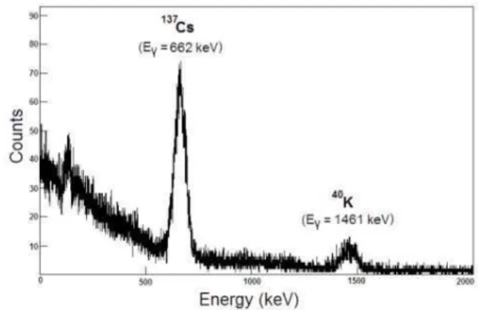 FIG. 1: Typical spectrum of a analyzed sample obtained with the NaI(Tl) detector during a counting period of 5.8 x 10 4 seconds.