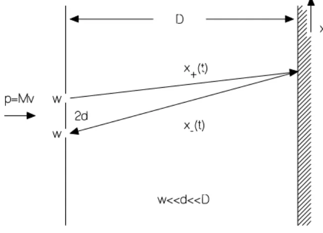 FIG. 1: Two slit experiment.