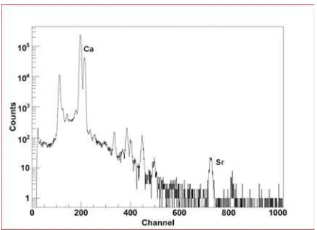 FIG. 9: Energy espectrum from one of the irradiations using ROOT code.