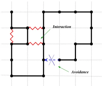 FIG. 1: Interaction Self Avoiding Walk.