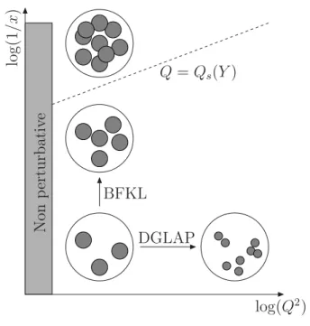 FIG. 1: Picture of the proton in DIS