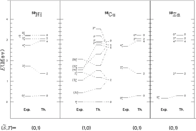 FIG. 1: The SO(6)  spectra of the Ni-Cu-Zn nuclei with A=58. The theoretical energies are pure nuclear interactions