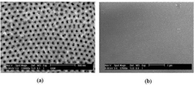 FIG. 1: a) Surface image obtained by means of FMF (Magnetic Force Microscope) of an array of nanopores