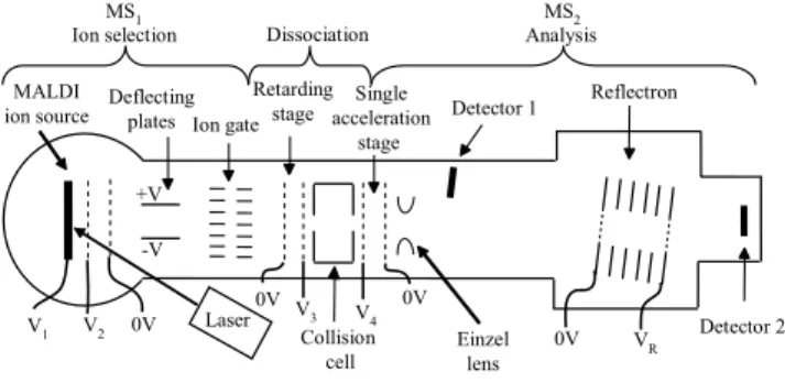 FIG. 1: A schematic representation of the home-built tandem TOF mass spectrometer. The ion source is MALDI with two  consecu-tive acceleration stages