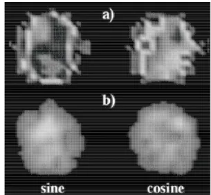 FIG. 3: Phantom images of components sine and cosine for: a) lam- lam-inar regime and b) turbulent regime.