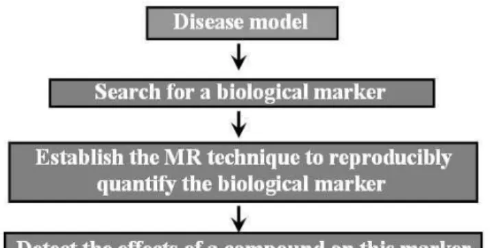 FIG. 2: General flow of activities for testing therapy efficacy in an animal model of disease.