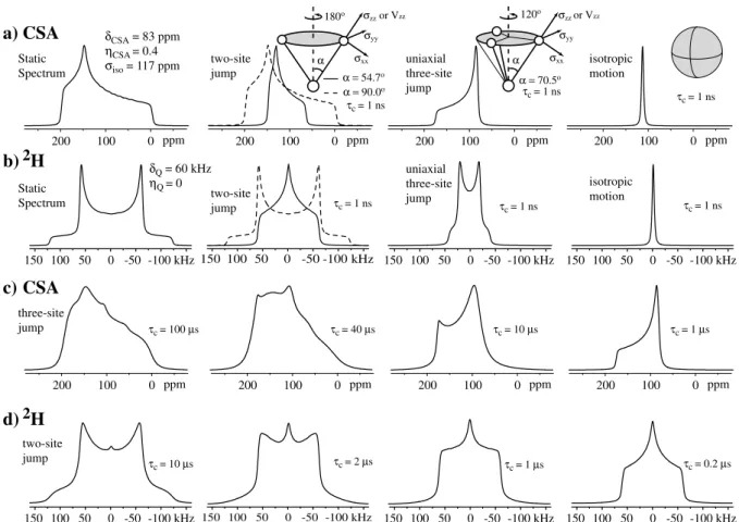 FIG. 2: Series of CSA and quadrupolar ( 2 H) powder patterns simulated for different kinds of molecular motions