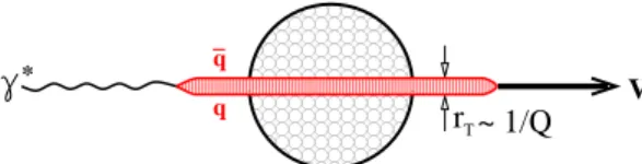 FIG. 5: Photon virtual dissociation to a ¯ qq pair with transverse sepa- sepa-ration r T and sharing of the light-cone momentum α and 1 − α.