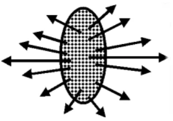 FIG. 3: Due to the sharp pressure gradient, the final state particles attain the anisotropic momentum distrubution.